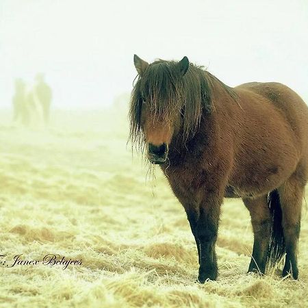 Efri-Gegnisholar Hotel Selfoss Bagian luar foto