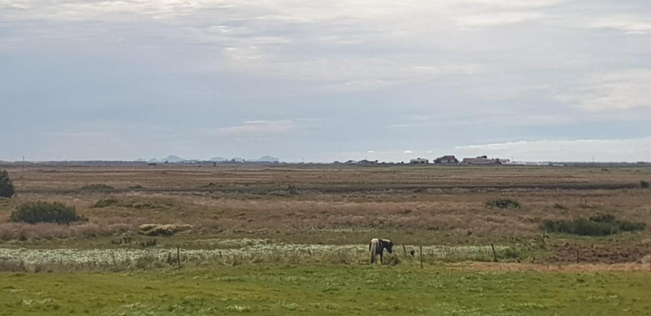 Efri-Gegnisholar Hotel Selfoss Bagian luar foto