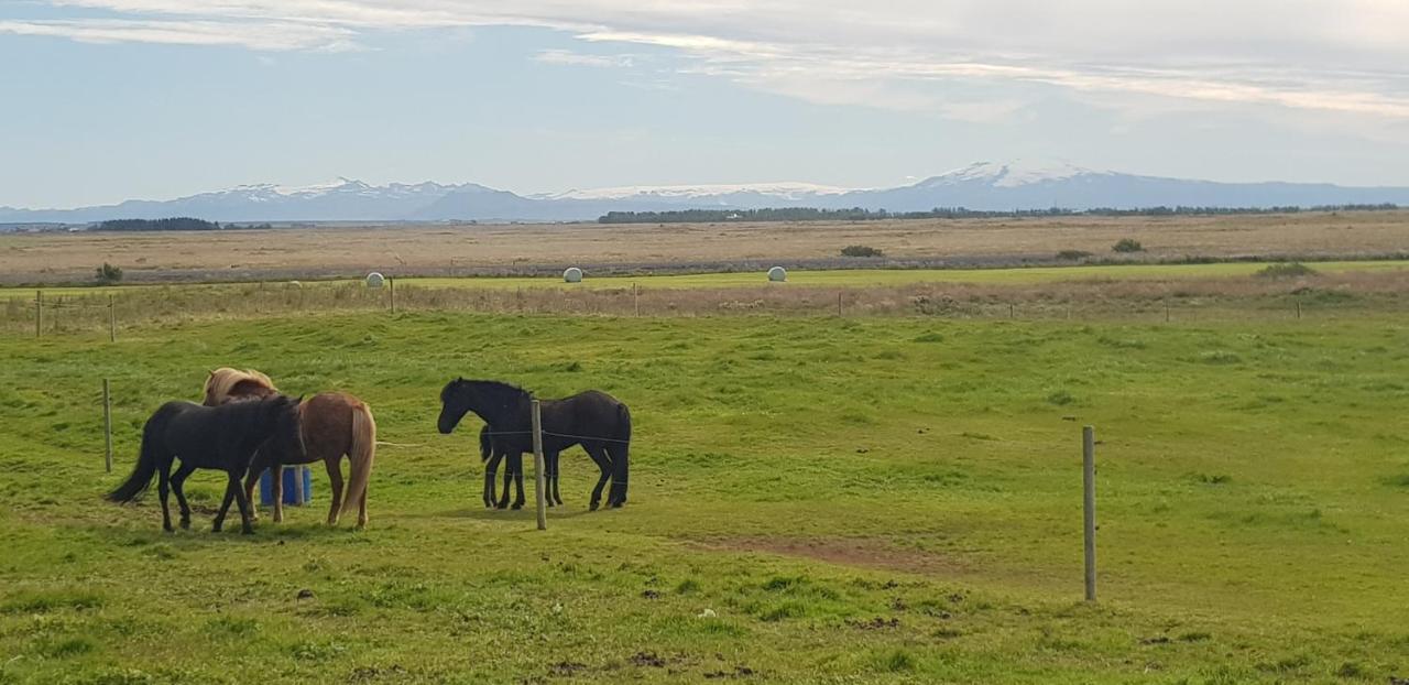 Efri-Gegnisholar Hotel Selfoss Bagian luar foto